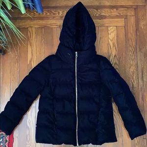 Zara Blue Velvet Puffer Coat